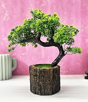 Dekorly Small Artificial Bonsai Tree Fake Plant Potted House Plants Japanese Pine Bonsai Plant Faux Bonsai for Home Indoor Decoration Office (Wooden Potted Plants, Design-H)