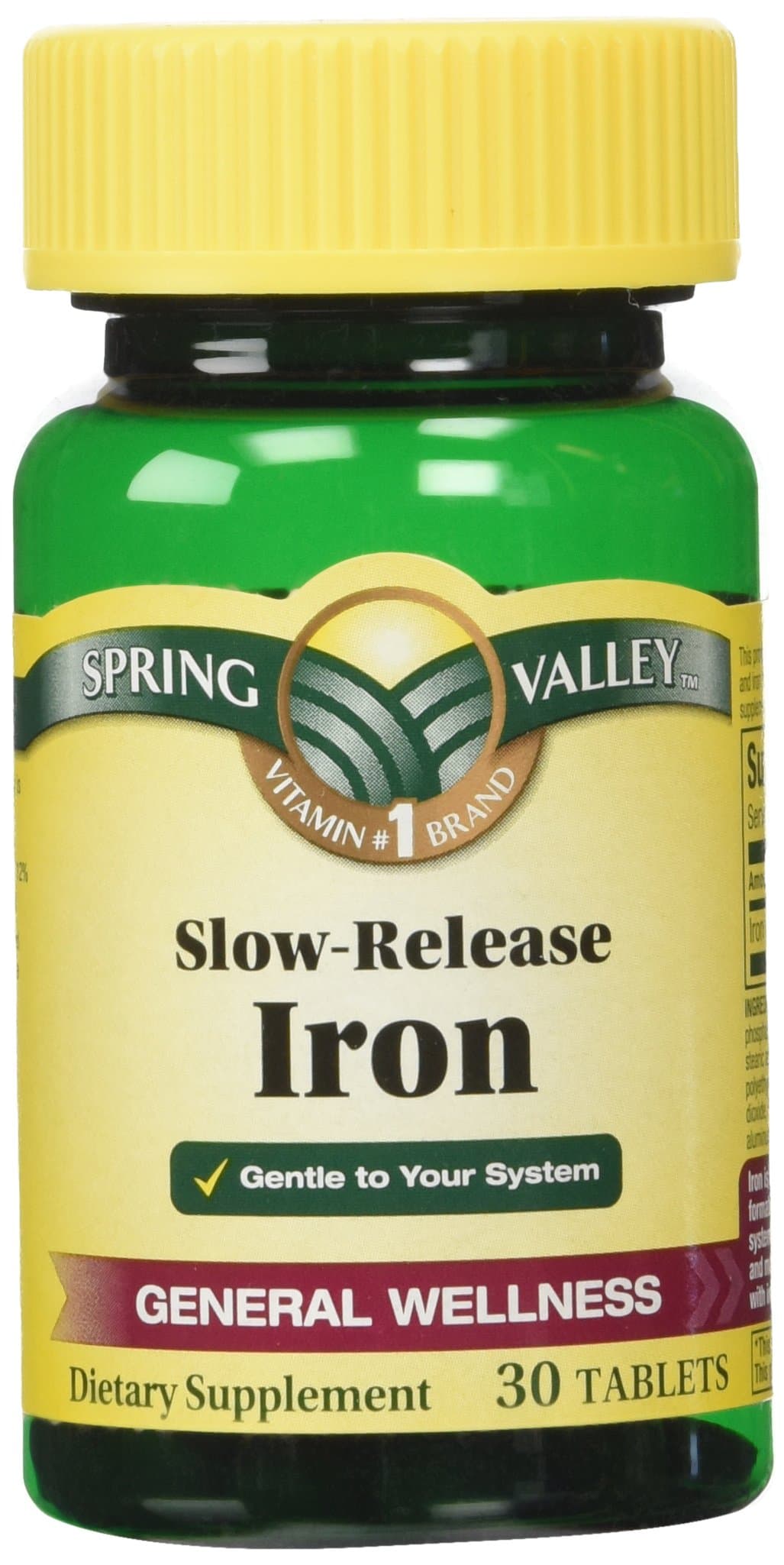 Spring ValleySlow Release Iron, 30 Tablets (1)