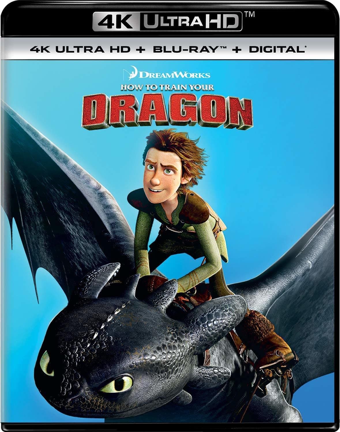 How to Train Your Dragon