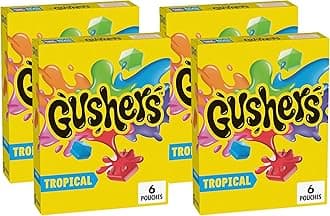 Fruit Flavored Snacks, Tropical Fruit Flavor, 6 Pouches, 4.8 oz (Pack of 4)