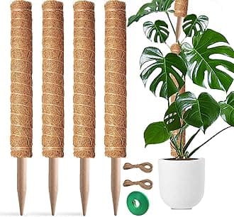 4pcs 17 Inch plant support for climbing plant indoor