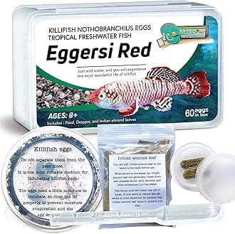 GreenWaterFarm Killifish Eggs Nothobranchius [Eggersi Red] - Tropical Freshwater Fish Eggs for Hatching, Packed with Food, Dropper, and Indian Almond Leaves, Suitable for Education and as a Hobby