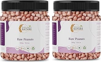 ORGANIC NATURE Raw Peanuts Jumbo Size Raw Peanut Desi Singdana Pack of 2 of 250 Grams Total 500 Grams Whole Groundnut Mungfalli dana Pure Sabut Mungfalli Jar Pack