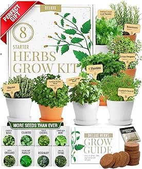 Gift Herb Kit – 8 Herb Seeds Set with Basil, Cilantro, Mint & More, Complete Indoor Grow Kit for Kitchen, Gardening Gifts for Women & Men, Ideal for Cooking & Home Décor