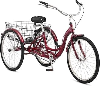 Schwinn Meridian