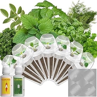 Gourmet Herb Seed Pods for AeroGarden, Ahopegarden, iDOO Hydroponics Growing System Indoor, 400+ Seeds, Germination Kits Include Basil, Cilantro, Dill, Parsley, Mint, Shiso, Liquorice(7-Pods)