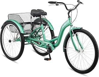 Schwinn Meridian