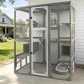 Ketive Catio Outdoor Cat Enclosure Large Window Cat House Walk in Kitty Cage with Multi-Level Platforms, Waterproof Roof for Mulitiple Cats (59" L x 29.5" W x 67.7" H)
