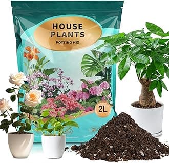 Potting Soil Mix 2qt for Indoor Plants, Organic Houseplant Soil Well Draining Dirt Ready to Use, Fit for House Plant Like Pothos, Philodendron, Monstera, African Violet