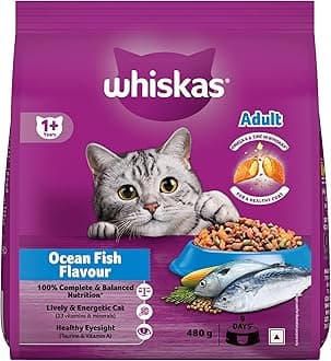 Whiskas Adult (1+ Years) Dry Cat Food, Ocean Fish Flavour, 480 g, Contains 41 Essential Nutrients, Complete & Balanced Nutrition for Adult Cats