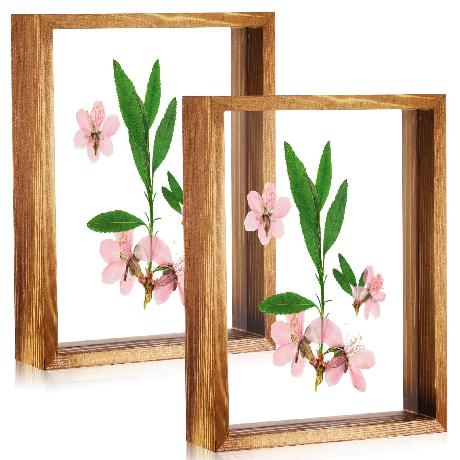 MAKINGTEC 2 Pcs Rustic Floating Frames, Pressed Flower Display Frames Double-sided Acrylic Frames Wooden Plant Specimen Frames Double-sided Photo Display Herbarium Specimen Frames for Desktop
