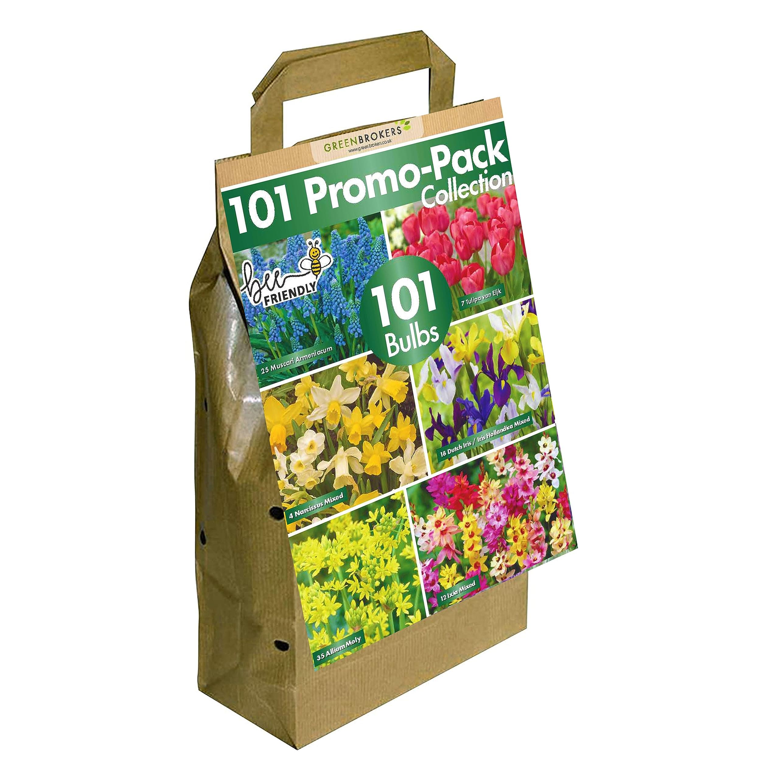101 Promo Pack Bulbs
