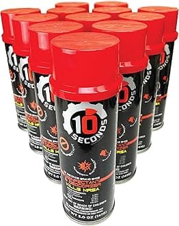 10 Seconds - Household Disinfectant Spray & Deodorizer - Great for Shoes and Gym Equipment! Superior Germ-Killing and Odor Elimination, Fights Staph, Athlete's Foot, Strep, MRSA. (Case of 12)