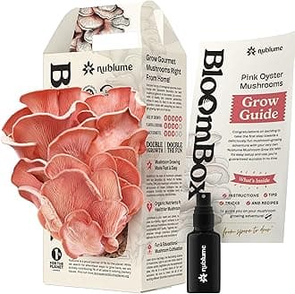 BloomBox Pink Oyster Mushroom Grow Kit