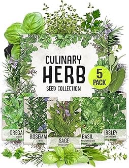 Italian Herb Seed Packet Collection (5 Individual Seed Varieties for Planting) Non-GMO & Untreated - Oregano, Basil, Rosemary, Sage and Parsley