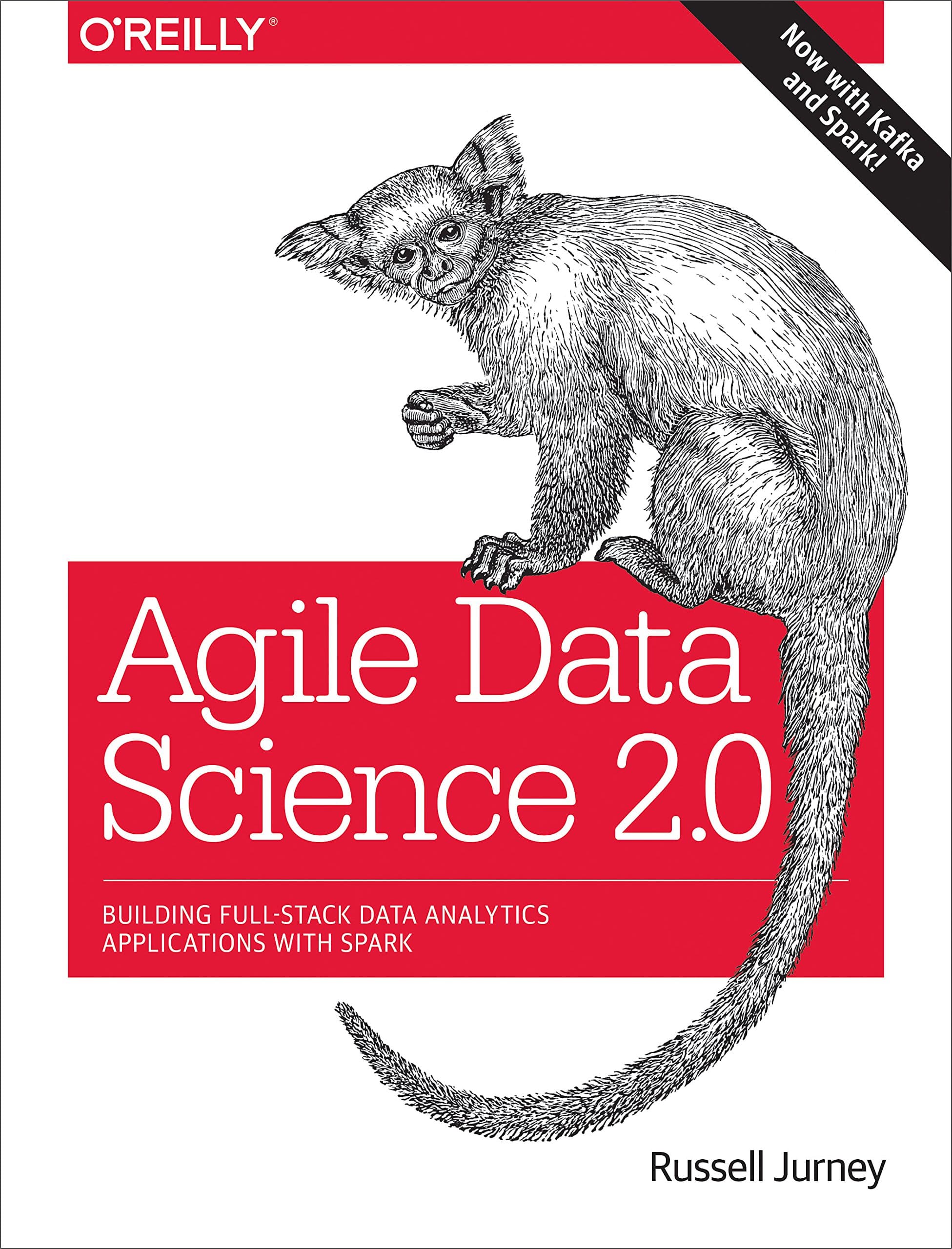 Agile Data Science 2.0: Building Full-Stack Data Analytics Applications with Spark Paperback – Big Book, 13 June 2017