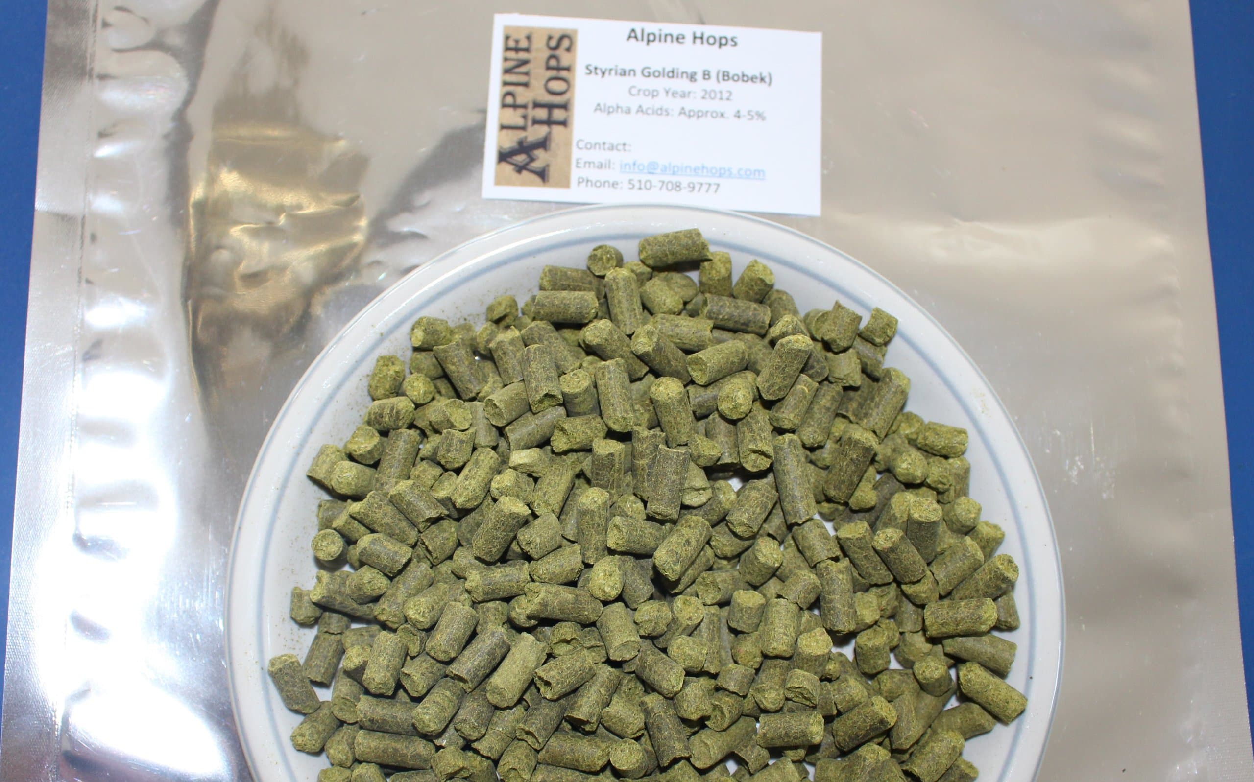 Styrian Golding B (Bobek)