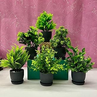 Dekorly 6 Packs Fake Plants Small, Mini Artificial Plants Indoor For Home Farmhouse Bathroom Shelf Décor (Height : 17Cm, Black) - Plastic