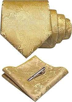 Mens Solid Color Paisley Necktie and Pocket Square with Tie Clip Sets