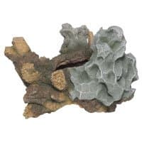 Tree Stump With Rock