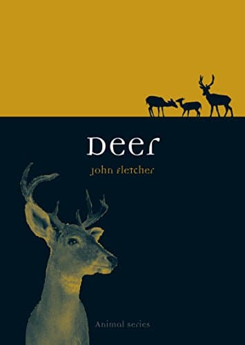 Deer (Animal)