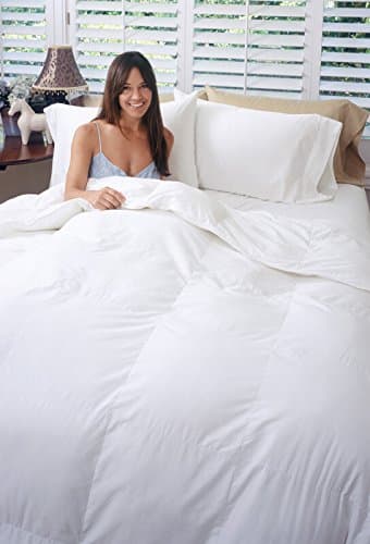 Alpine Medium Weight Down Alternative Comforter White Twin