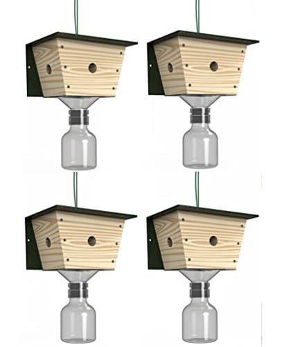 Best Bee Trap Carpenter Bee Trap - 4 pack