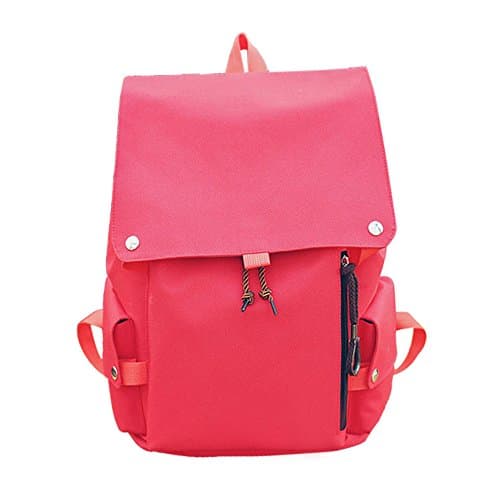 Wish House Canvas Basic Multipurpose Backpack School Bag Laptop Bag For Teens Girl Boy Student (Red)