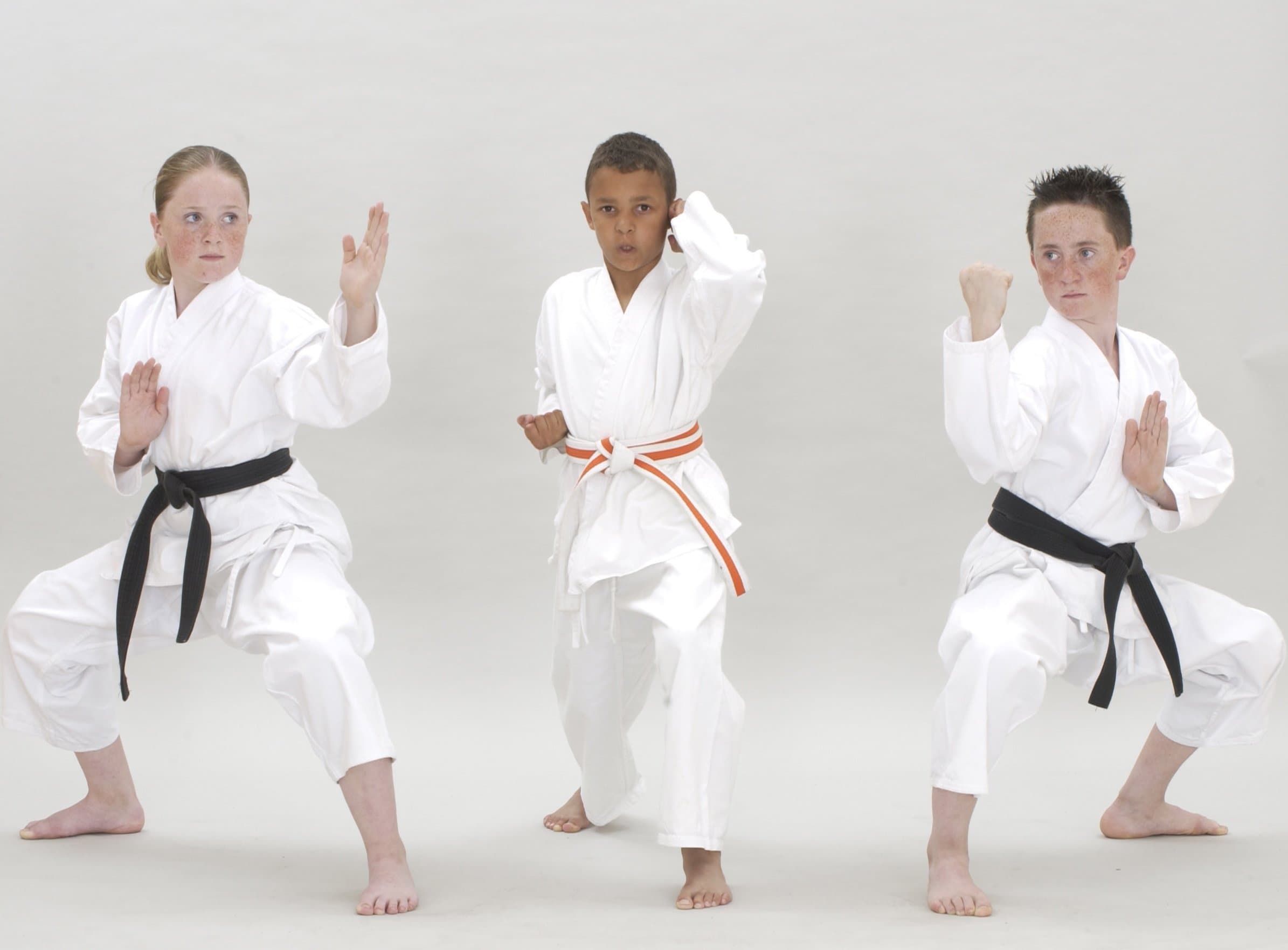 Karate suit (white) (120cms)