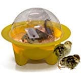 Chick-Bator Incubator