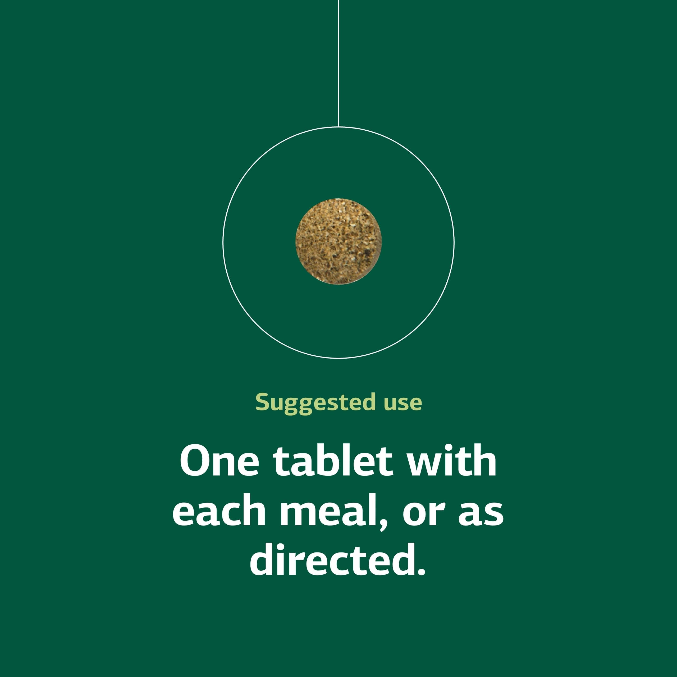 180 Tablets: Standard Process - Renafood - 180 Tablets