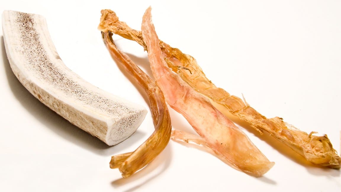 Split Petra Pets Elk Antler Medium