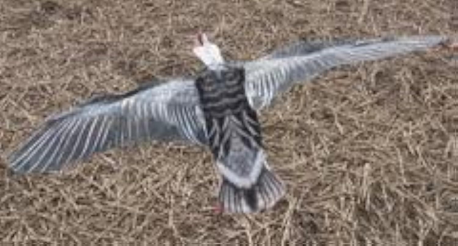 Sillosocks Flapping Blue Goose Decoy