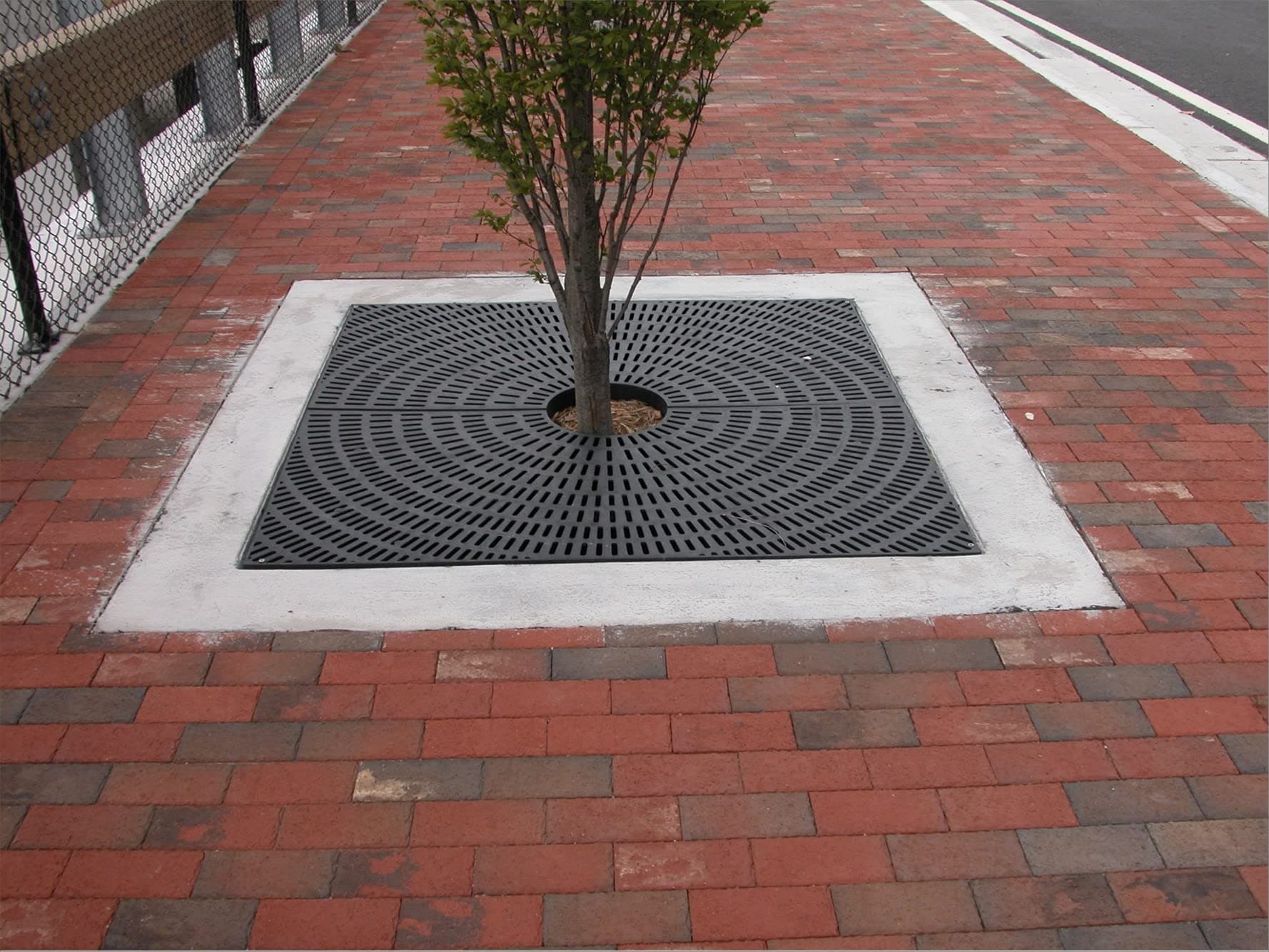 4 Ft Tree Grate Square Black