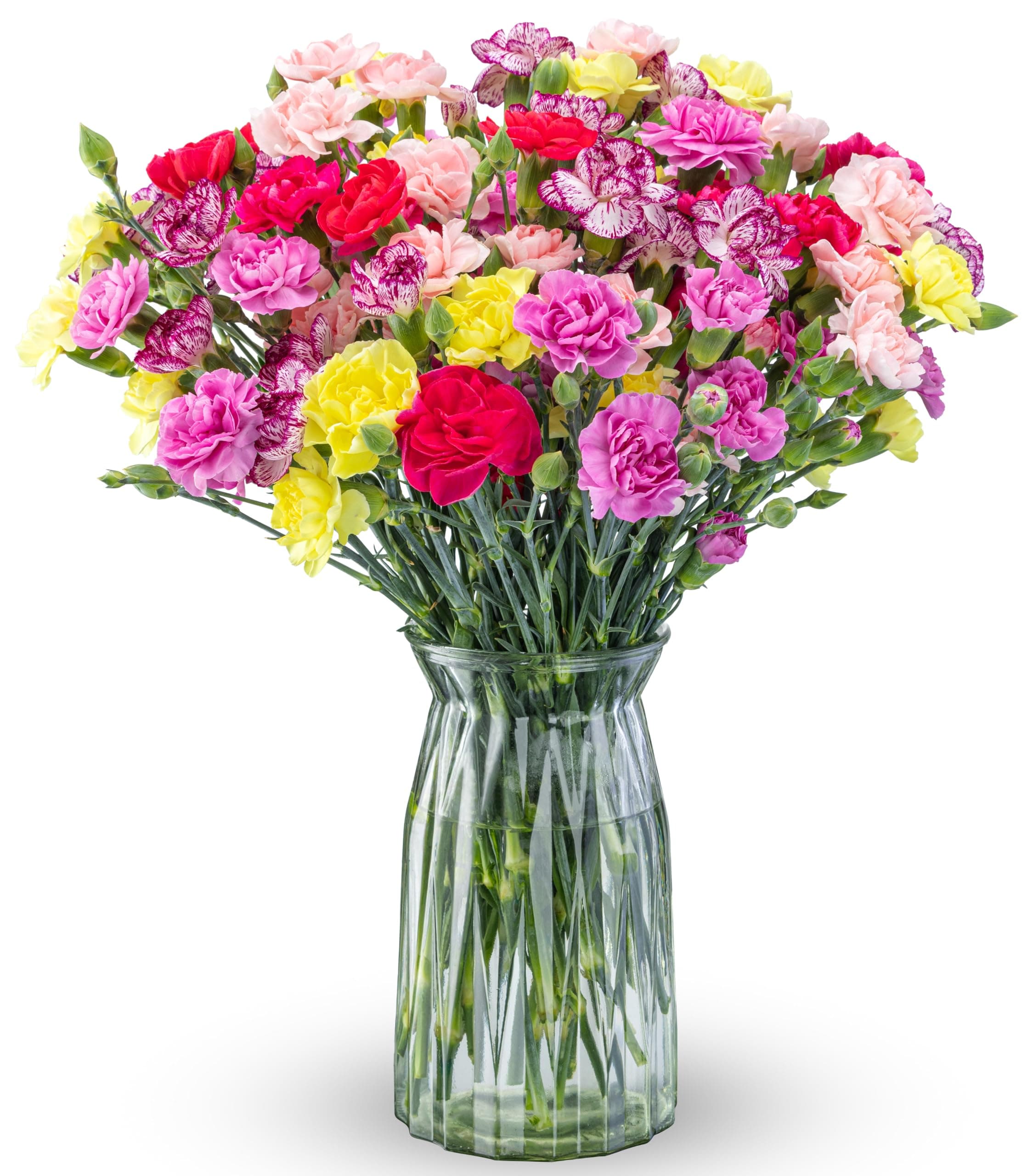Benchmark Bouquets - Spring Mini Carnations - Fresh Flowers for Delivery - Mini Flowers - Easter Gifts for Women - Easter Decor - Spring Floral Arrangements - Glass Vase Included (20 Stems)