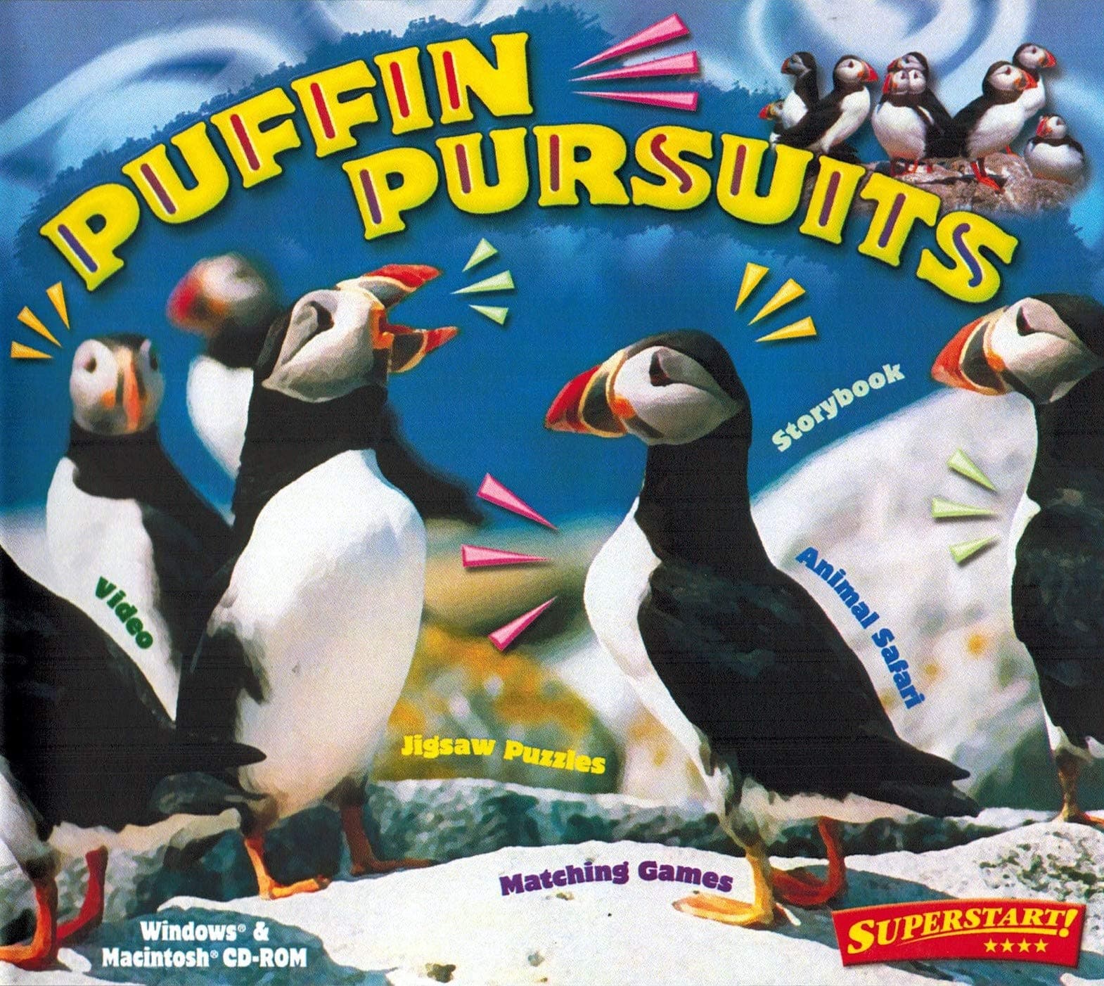 Superstart Puffin Pursuit
